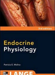 Endocrine Physiology