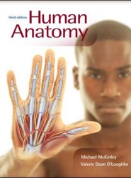 Human Anatomy