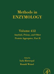 Amyloid, Prions, and Other Protein Aggregates, Part B: Volume 412