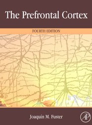 The Prefrontal Cortex