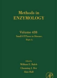 Small GTPases in Disease, Part A: Volume 438