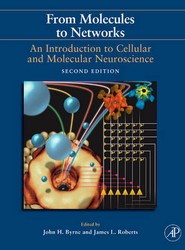 From Molecules to Networks