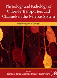 Physiology and Pathology of Chloride Transporters and Channels in the Nervous System