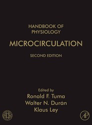 Microcirculation