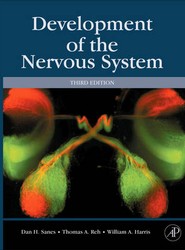 Development of the Nervous System