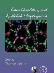 Tissue Remodeling and Epithelial Morphogenesis: Volume 89