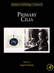 Primary Cilia: Volume 94