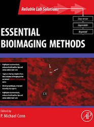 Essential Bioimaging Methods