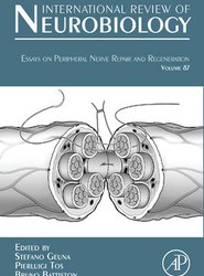 Essays on Peripheral Nerve Repair and Regeneration: Volume 87