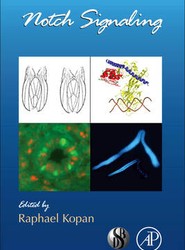 Notch Signaling: Volume 92