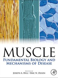 Muscle 2-Volume Set