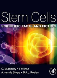 Stem Cells