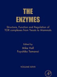 Structure, Function and Regulation of TOR complexes from Yeasts to Mammals: Volume 27