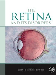 The Retina and its Disorders
