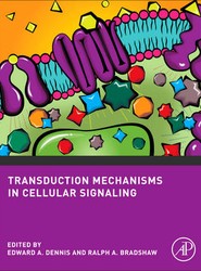 Transduction Mechanisms in Cellular Signaling