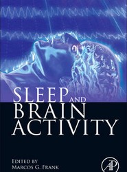 Sleep and Brain Activity