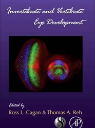 Invertebrate and Vertebrate Eye Development: Volume 93