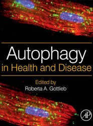 Autophagy in Health and Disease