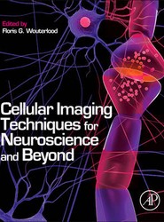 Cellular Imaging Techniques for Neuroscience and Beyond