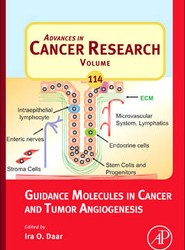 Guidance Molecules in Cancer and Tumor Angiogenesis: Volume 114