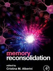 Memory Reconsolidation