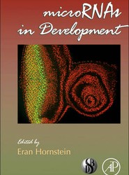 microRNAs in Development: Volume 99