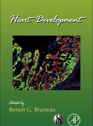 Heart Development: Volume 100