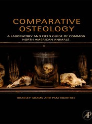 Comparative Osteology