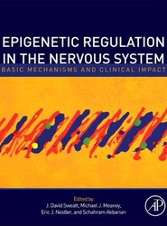 Epigenetic Regulation in the Nervous System
