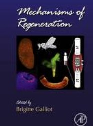 Mechanisms of Regeneration: Volume 108