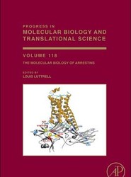 The Molecular Biology of Arrestins: Volume 118