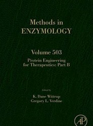Protein Engineering for Therapeutics, Part B: Volume 503