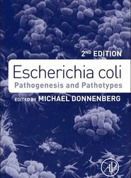 Escherichia coli