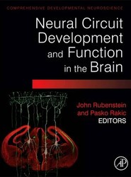 Neural Circuit Development and Function in the Healthy and Diseased Brain