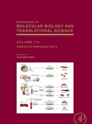 Genetics of Stem Cells: Volume 111