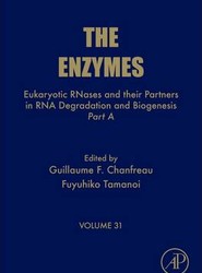 Eukaryotic RNases and their Partners in RNA Degradation and Biogenesis: Volume 31
