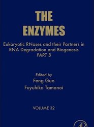 Eukaryotic RNases and their Partners in RNA Degradation and Biogenesis: Volume 32