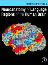 Neuroanatomy of Language Regions of the Human Brain
