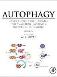 Autophagy: Cancer, Other Pathologies, Inflammation, Immunity, Infection, and Aging