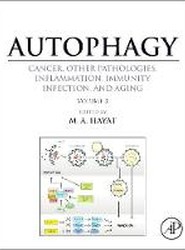 Autophagy: Cancer, Other Pathologies, Inflammation, Immunity, Infection, and Aging