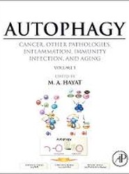 Autophagy: Cancer, Other Pathologies, Inflammation, Immunity, Infection, and Aging