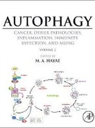 Autophagy: Cancer, Other Pathologies, Inflammation, Immunity, Infection, and Aging