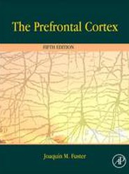 The Prefrontal Cortex