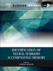 Identification of Neural Markers Accompanying Memory