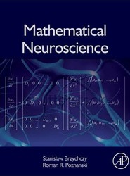 Mathematical Neuroscience