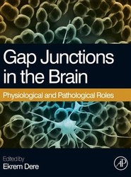 Gap Junctions in the Brain