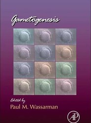 Gametogenesis: Volume 102