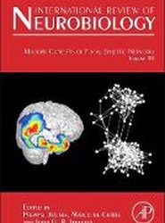 Modern Concepts of Focal Epileptic Networks: Volume 114