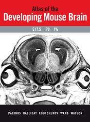 Atlas of the Developing Mouse Brain at E17.5, P0 and P6