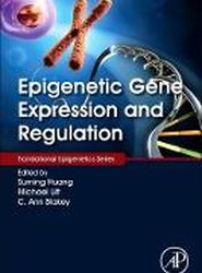 Epigenetic Gene Expression and Regulation